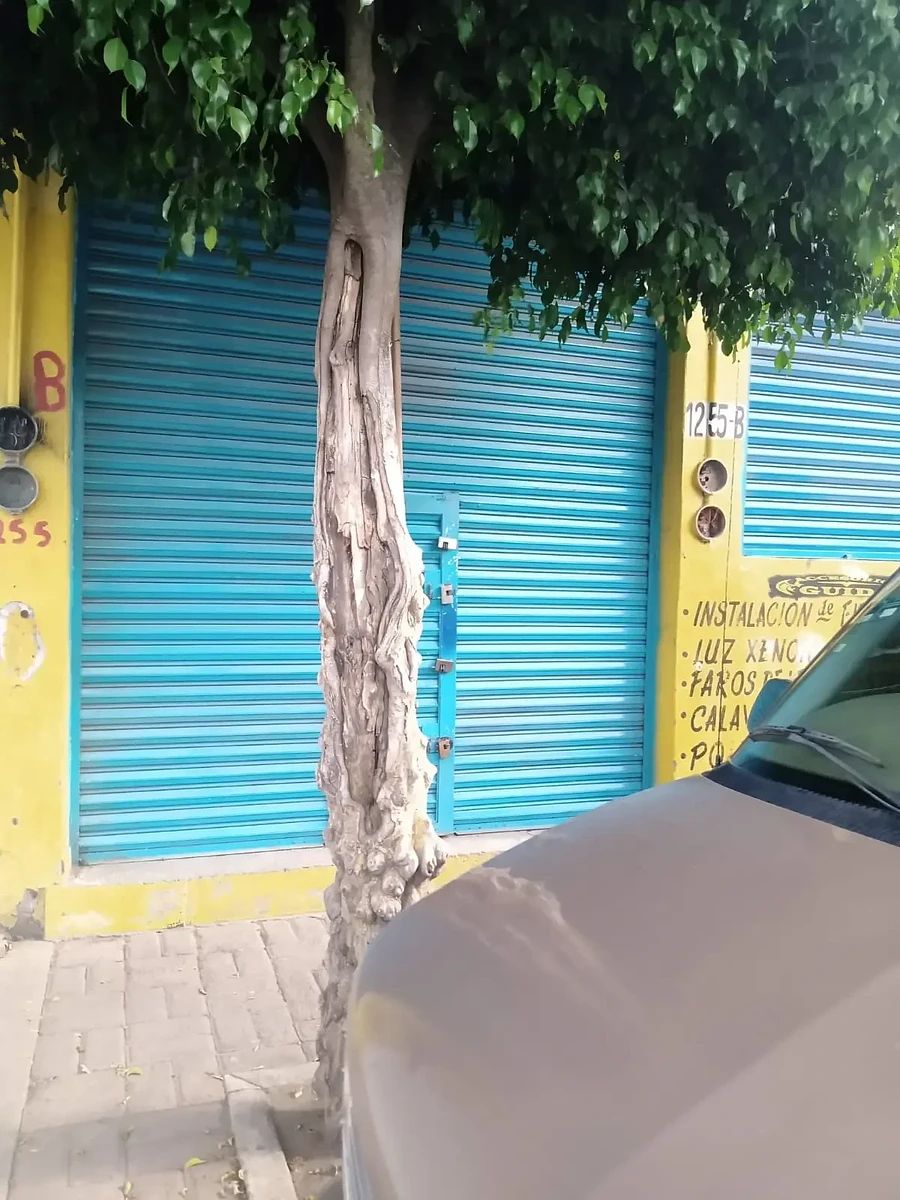 Propiedad en venta con 2 locales comerciales y dos departamentos IB77, foto 1 de 7