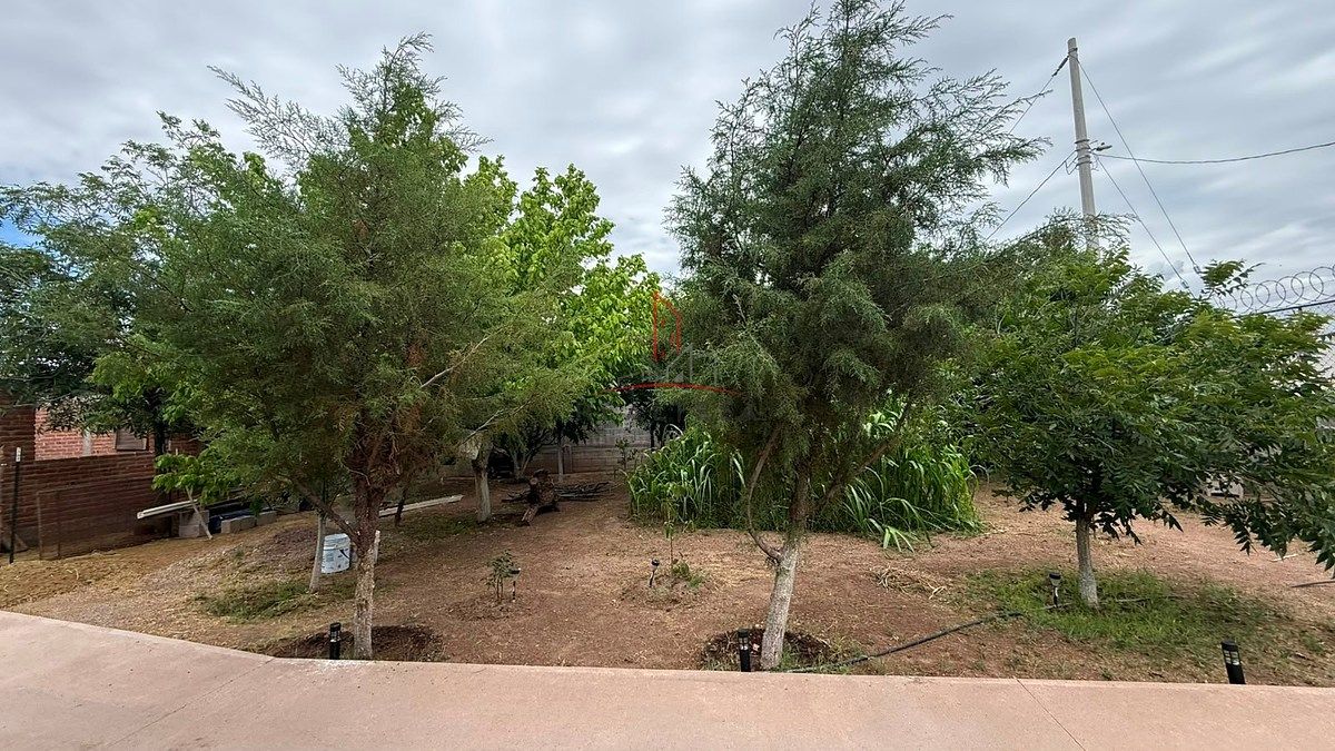Terreno en Praderas, Chihuahua, foto 9 de 17