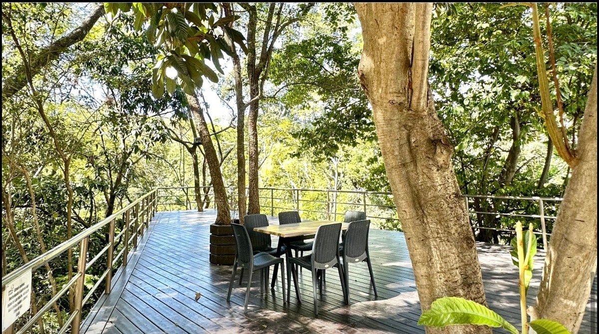 Apartment in Lomas de Coyuca, Cuernavaca, photo 12 of 14