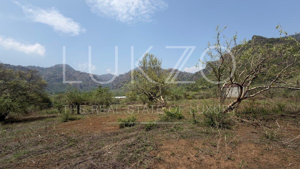 Lote em Amatlán de Quetzalcóatl, Tepoztlán, foto 6 de 12