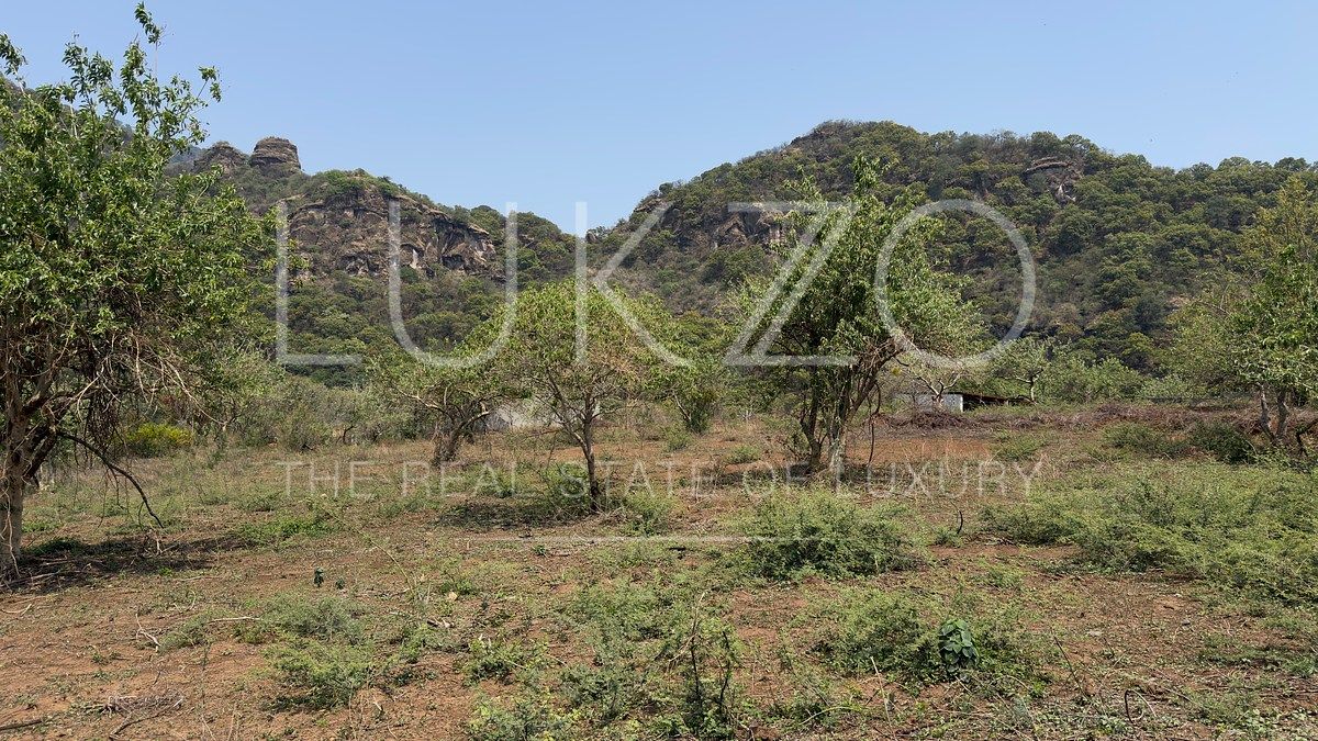 Lote em Amatlán de Quetzalcóatl, Tepoztlán, foto 7 de 12