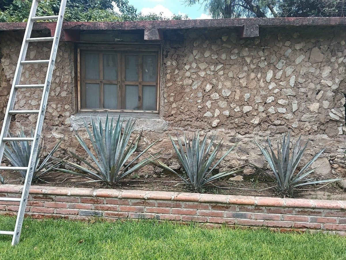 Lot in El Carrizo, San Juan del Río, photo 6 of 26