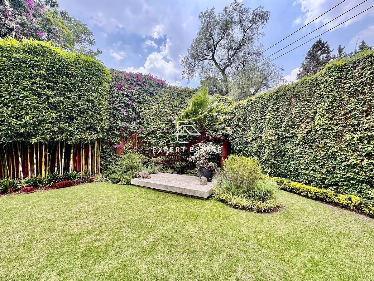 Casa em San Angel, Álvaro Obregón, foto 7 de 46