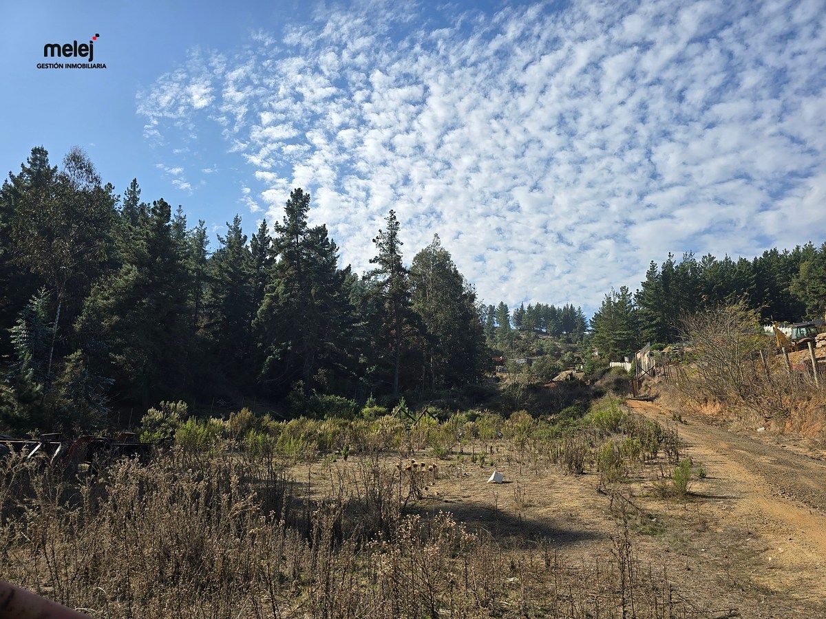 Terreno en Torquemada, Viña del Mar, foto 5 de 8