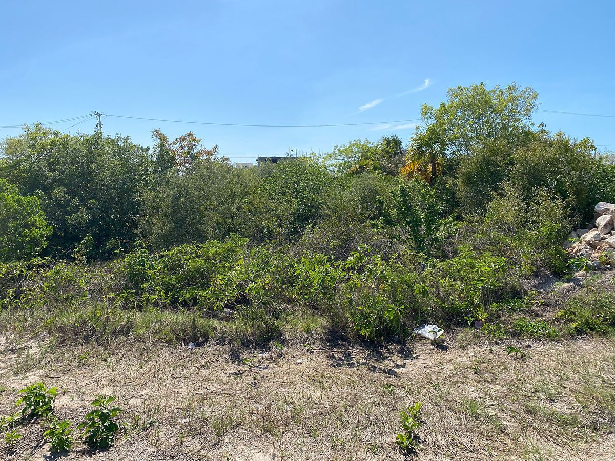 Lot in Dzemul, Mérida, photo 2 of 9