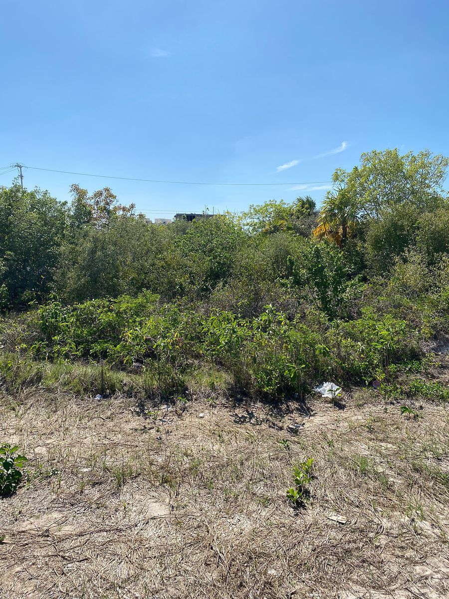 Lot in Dzemul, Mérida, photo 3 of 9