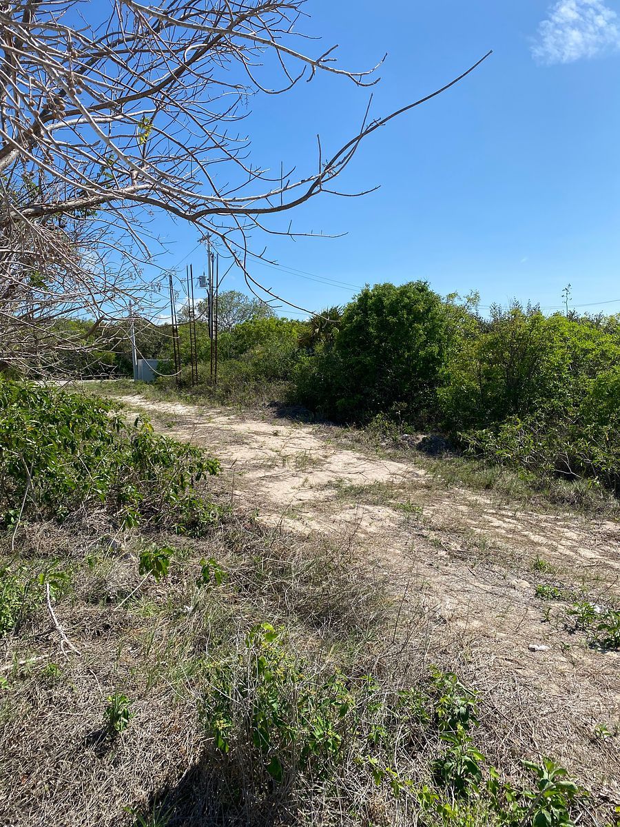 Lot in Dzemul, Mérida, photo 4 of 9