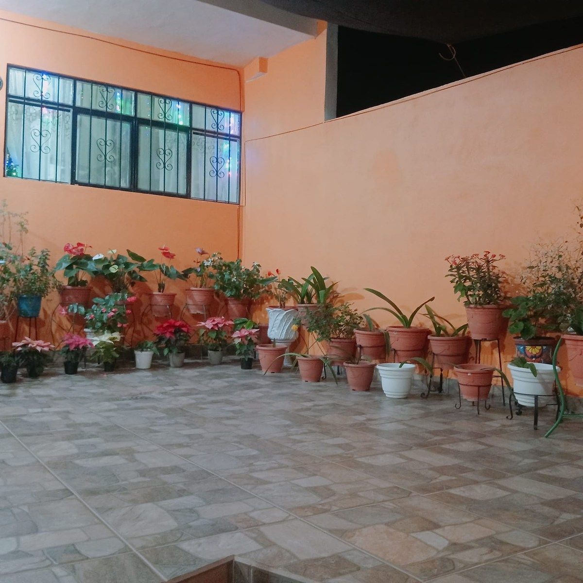 Casa en Pastita, Guanajuato, foto 4 de 34