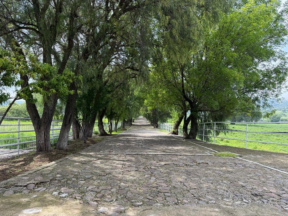 Fazenda à venda em Tepeji del Río, Hidalgo, foto 1 de 35
