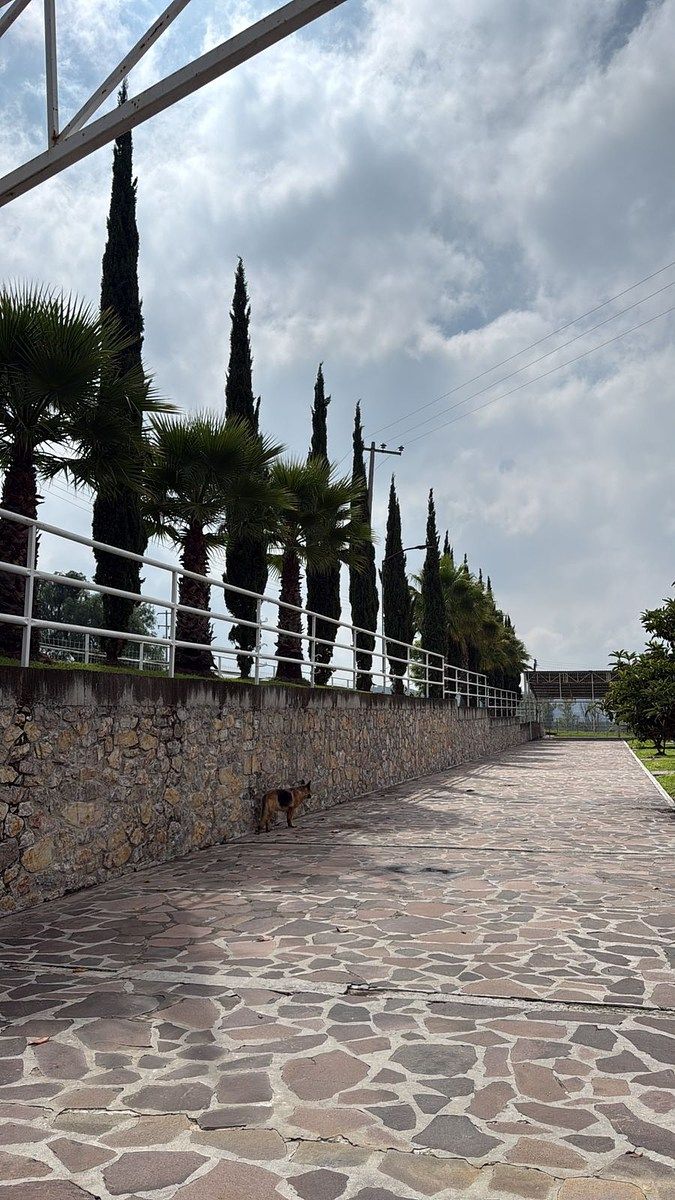 Fazenda em Santiago Tlapanaloya, Tepeji del Río de Ocampo, foto 22 de 35