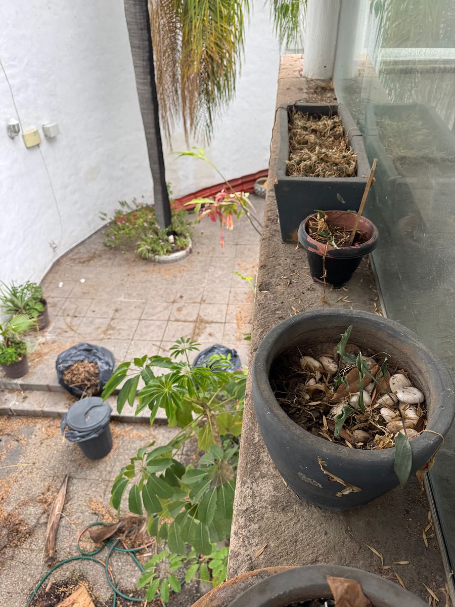Casa em condomínio fechado em Country Club, Guadalajara, foto 37 de 37