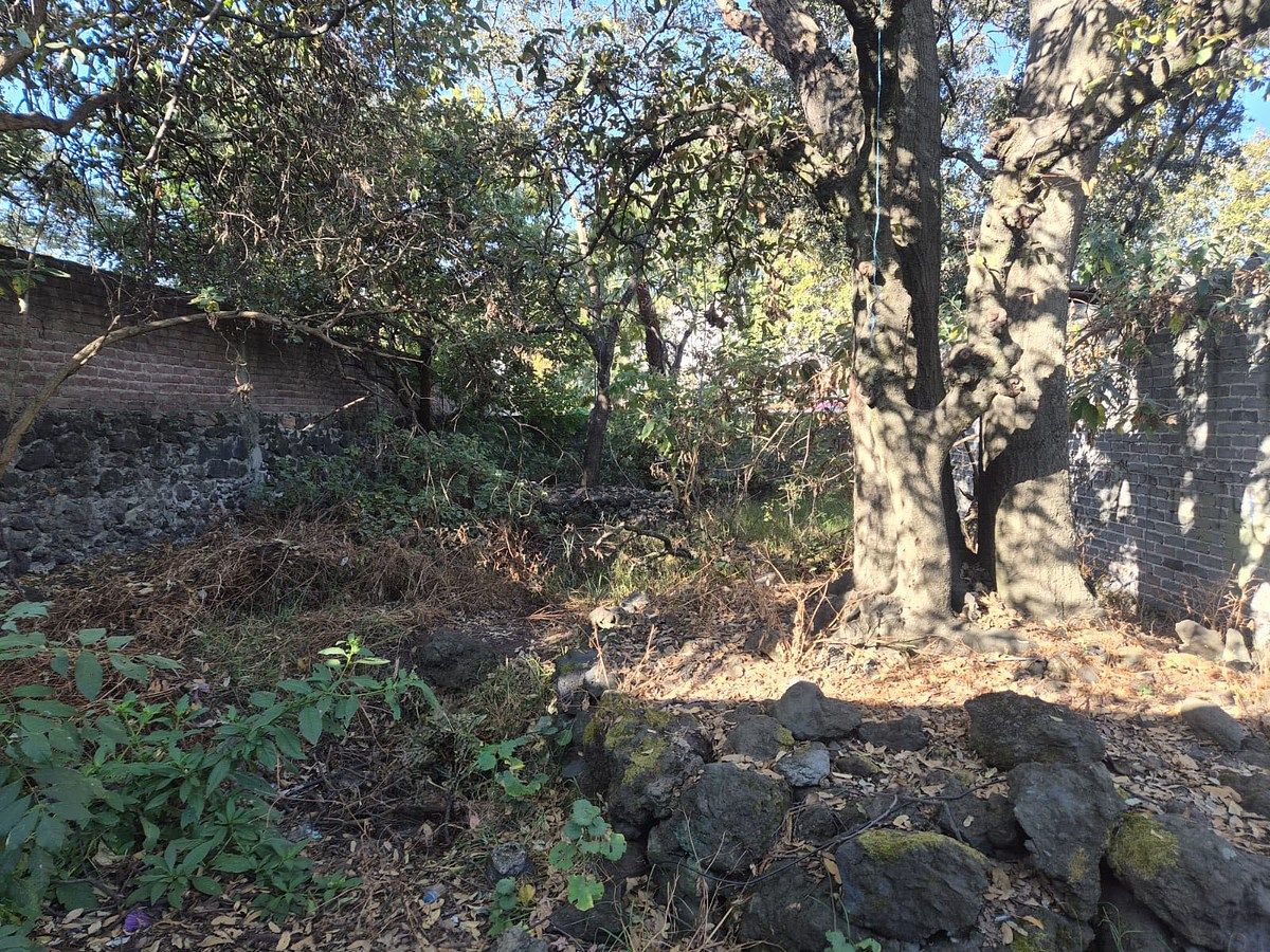 Terreno en venta Miguel Hidalgo Tips inmobiliarios ®, photo 3 of 5