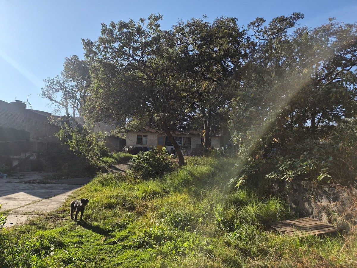 Terreno en venta Miguel Hidalgo Tips inmobiliarios ®, photo 4 of 5