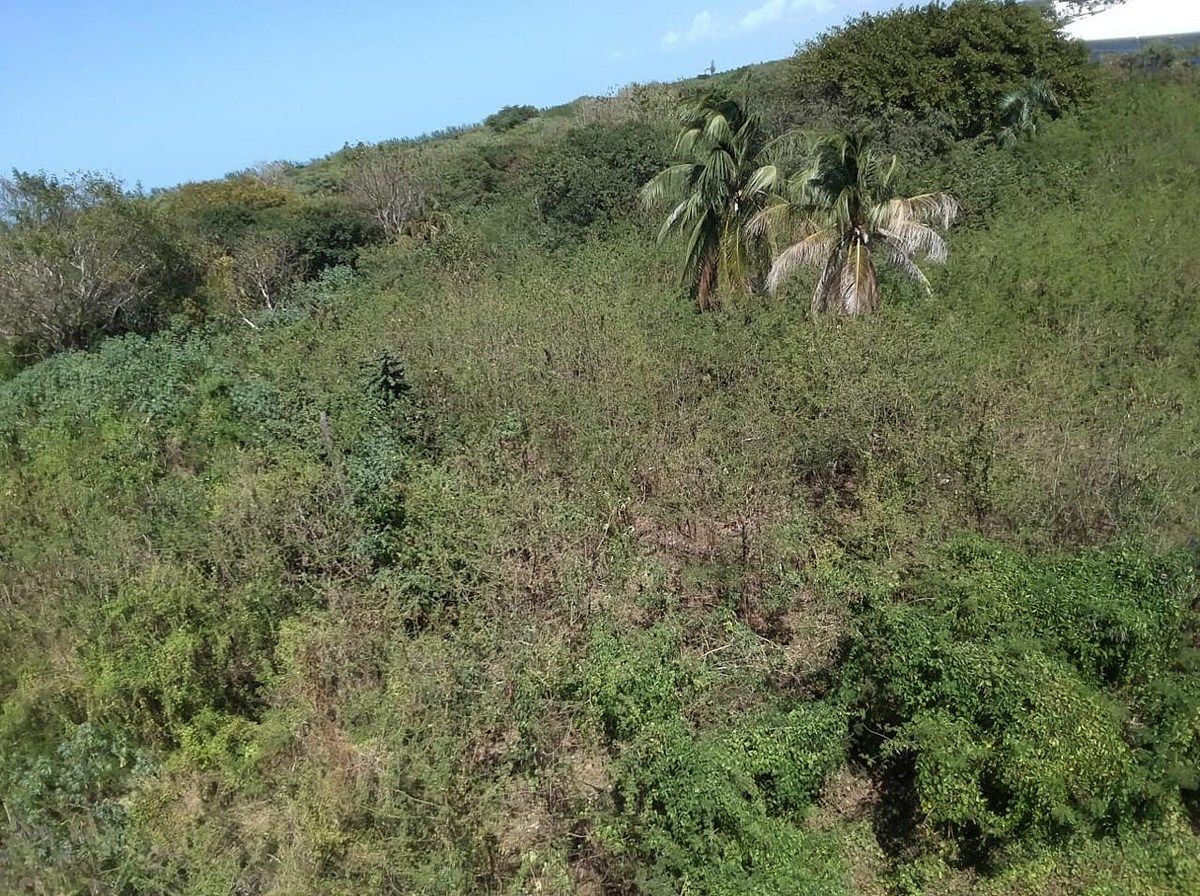 Lote comercial em Hacienda del Mar, Carmen, foto 2 de 4