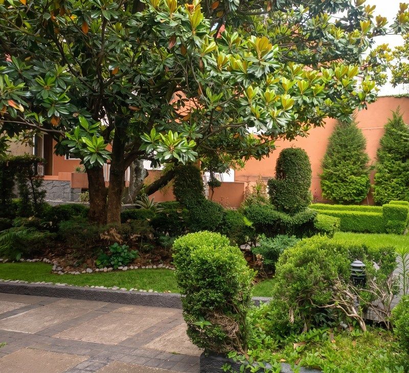 Casa en Jardines del Pedregal, Álvaro Obregón, foto 5 de 42