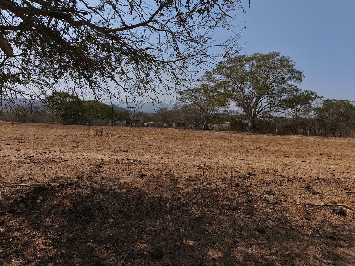 Lot in Ixtapa, Puerto Vallarta, photo 6 of 23