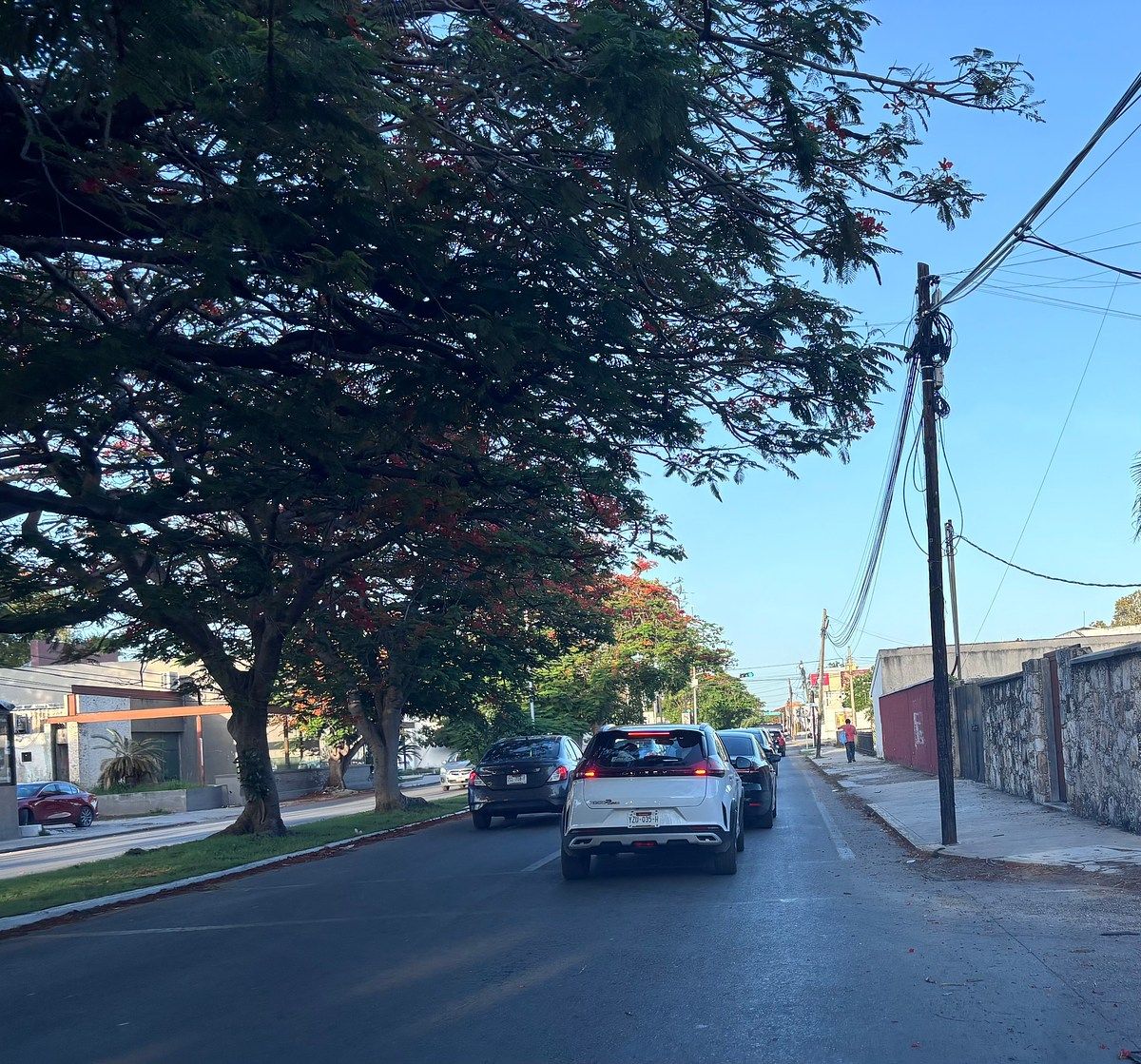Terreno en renta, foto 1 de 7