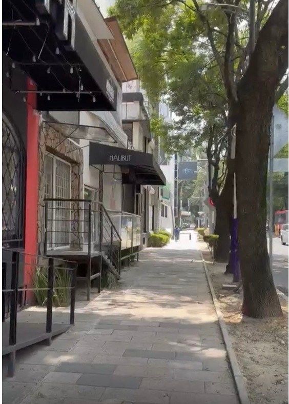 RENTO LOCAL COMERCIAL / OFICINA SOBRE INSURGENTES SUR, foto 1 de 10