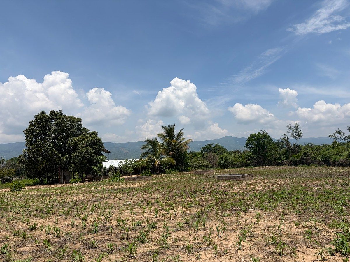 Ranch in Suchiapa, Suchiapa, photo 14 of 27