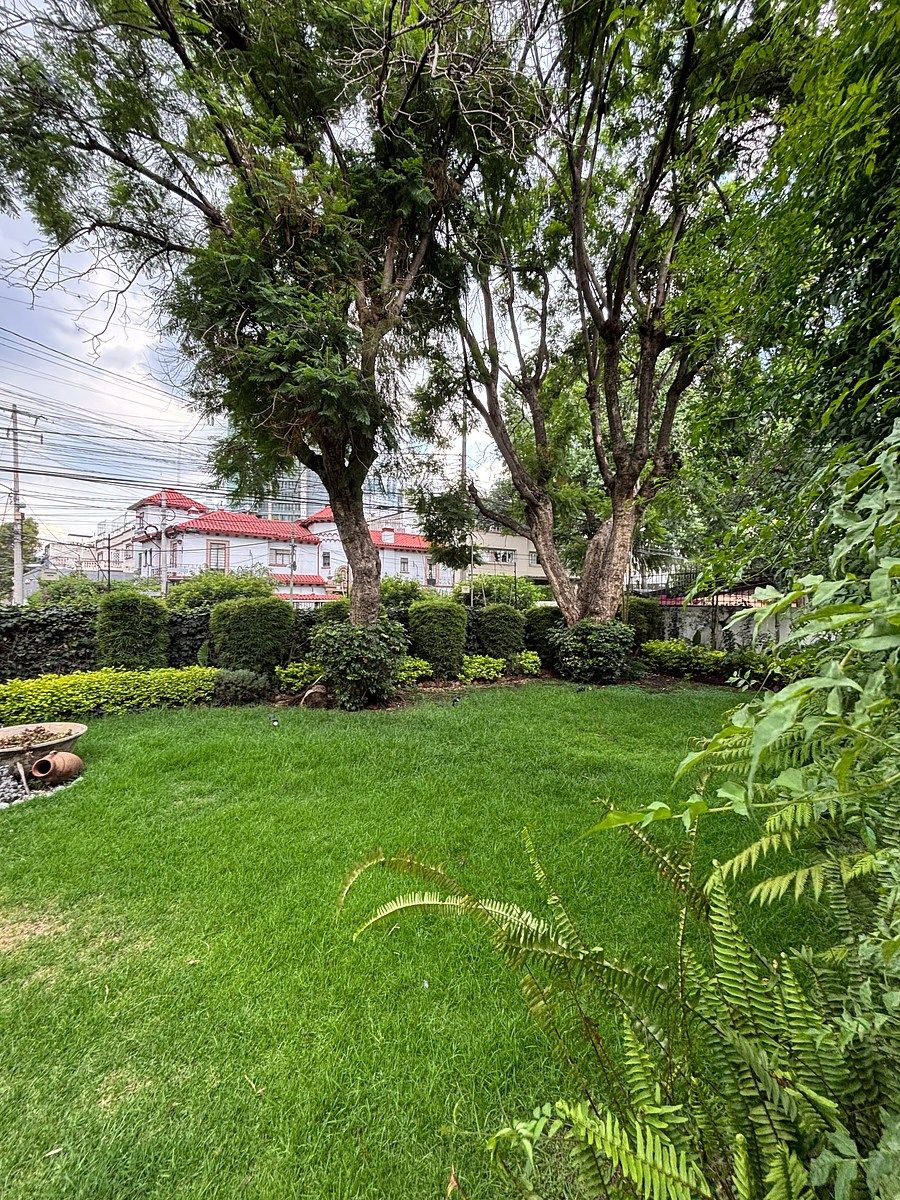 Casa com uso comercial em Insurgentes San Borja, Benito Juárez, foto 17 de 18