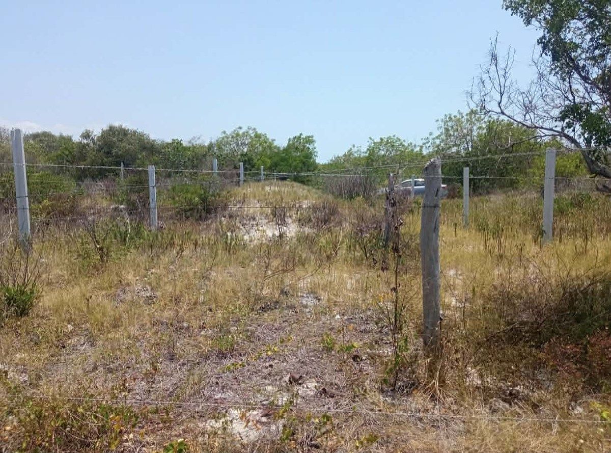 Lote em Celestun, Celestún, foto 6 de 13