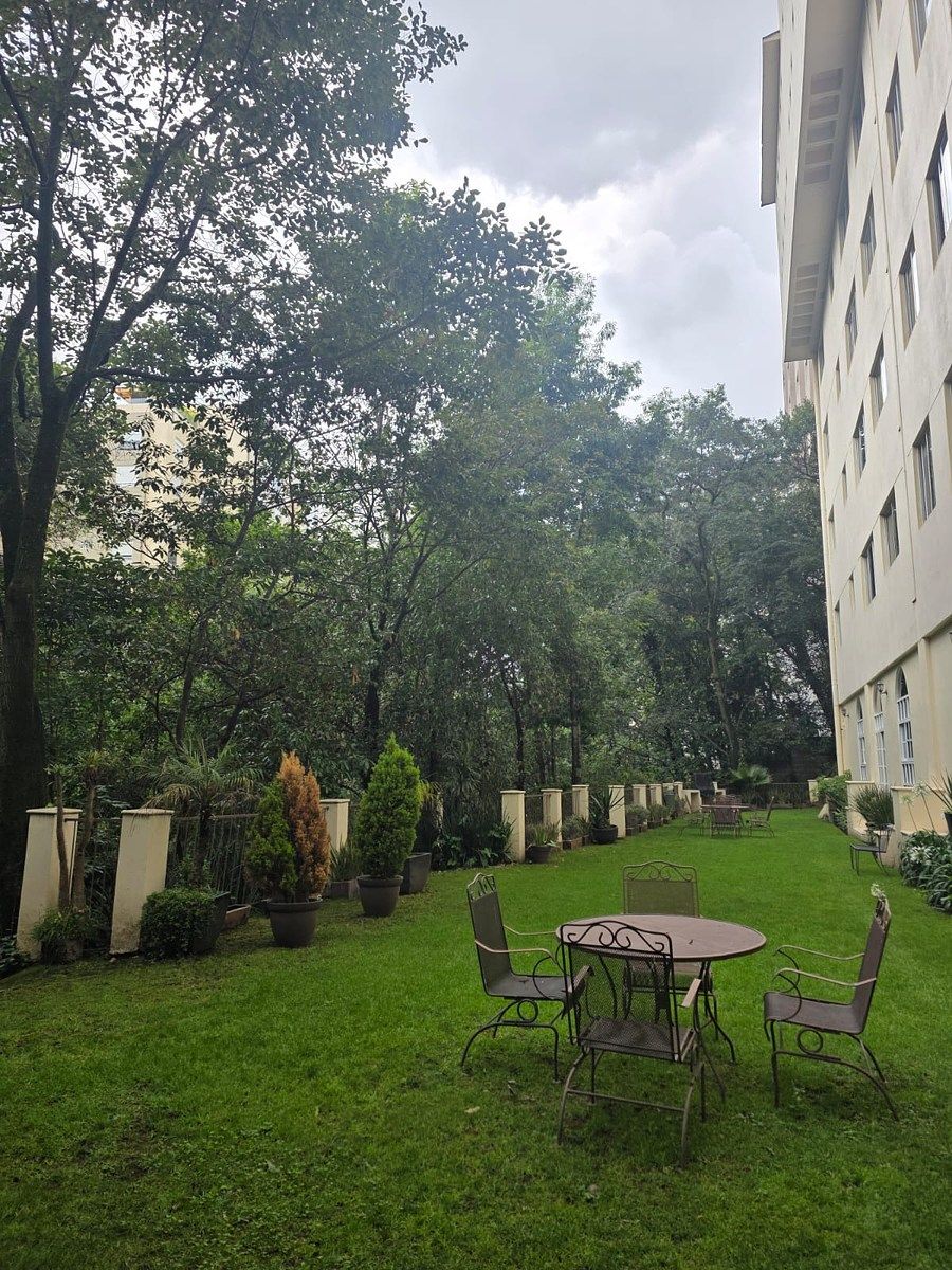 Amenidades Torre: Jardín, foto 30 de 39