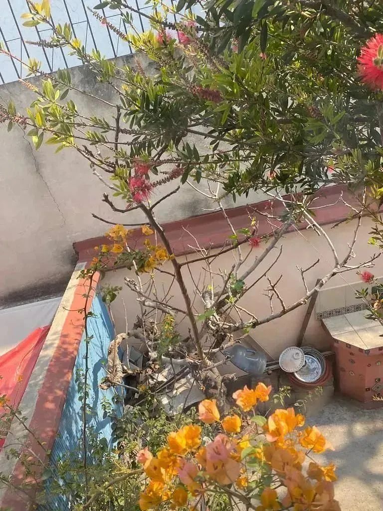 Casa en Lomas de Atizapán, Atizapán de Zaragoza, foto 13 de 20