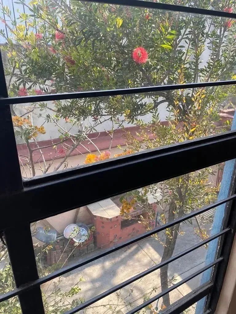 Casa en Lomas de Atizapán, Atizapán de Zaragoza, foto 14 de 20