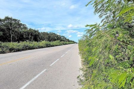 VENTA TERRENO CARRETERA VALLADOLID  TULUM