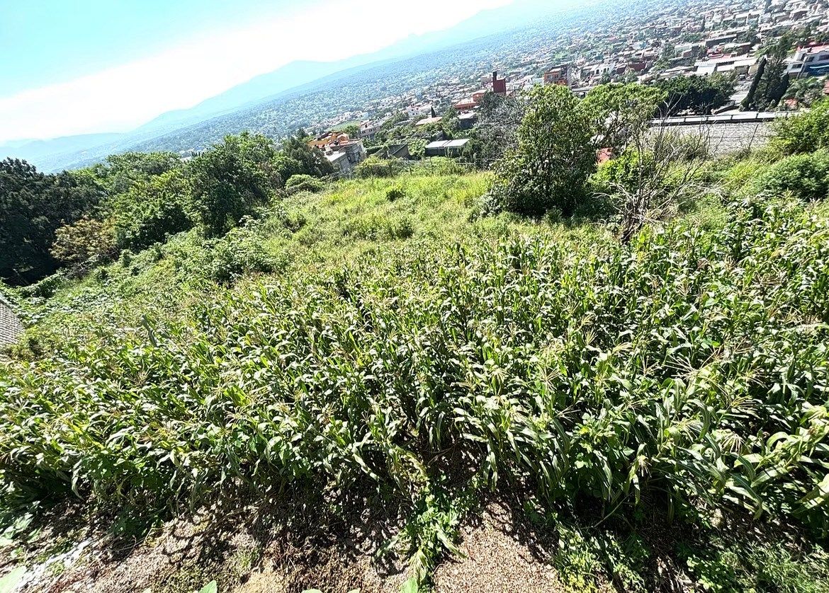 Lote em La Herradura, Cuernavaca, foto 4 de 10