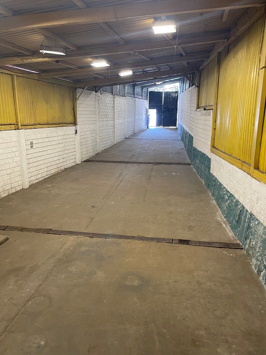 Bodega comercial en Santo Tomas Ajusco, Tlalpan, foto 7 de 14