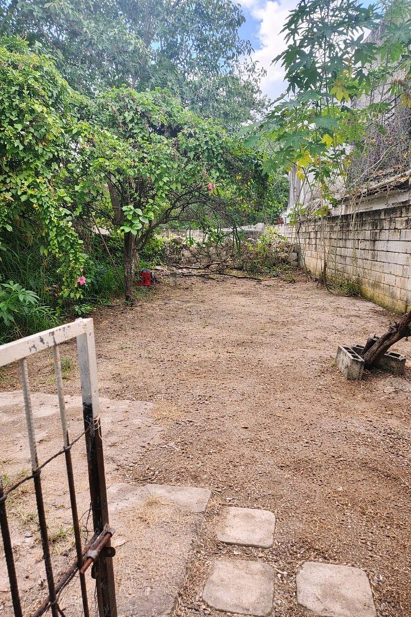House in Mérida Centro, Mérida, photo 5 of 6