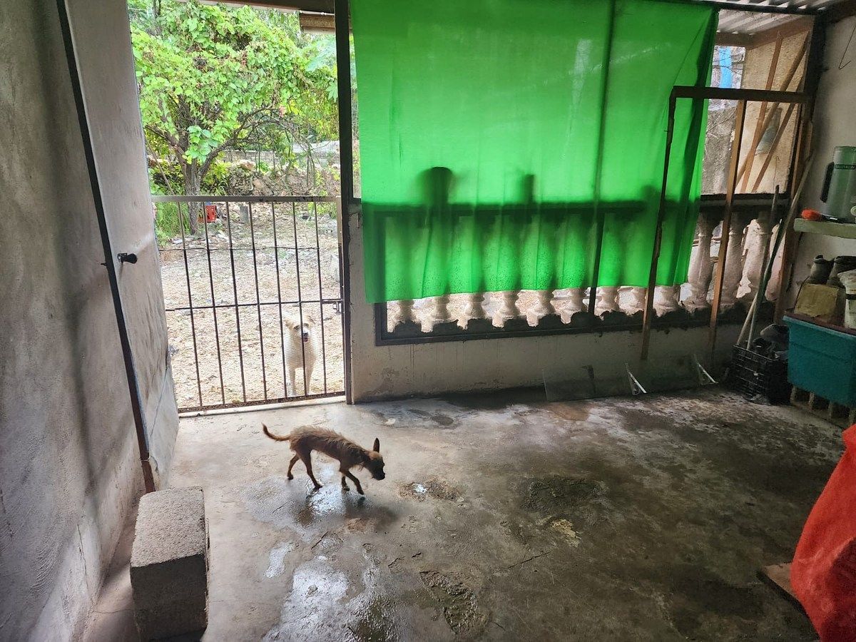 Casa em Mérida Centro, Mérida, foto 7 de 20
