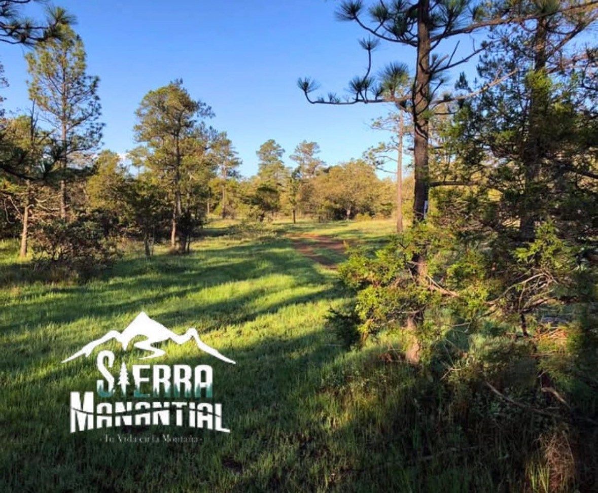Terreno en Pueblo Nuevo, Pueblo Nuevo, foto 4 de 7