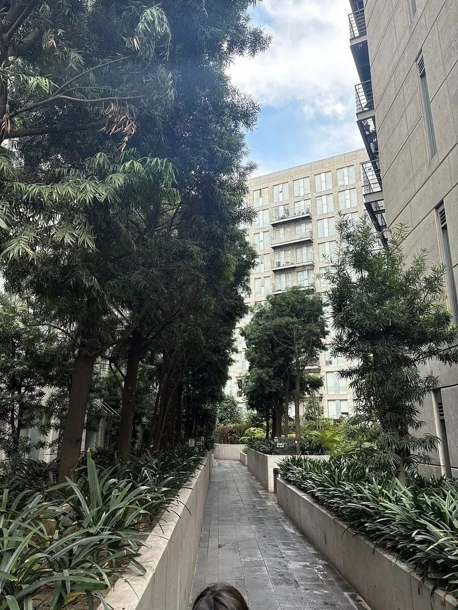 Apartamento em Santa Cruz Atoyac, Benito Juárez, foto 2 de 21