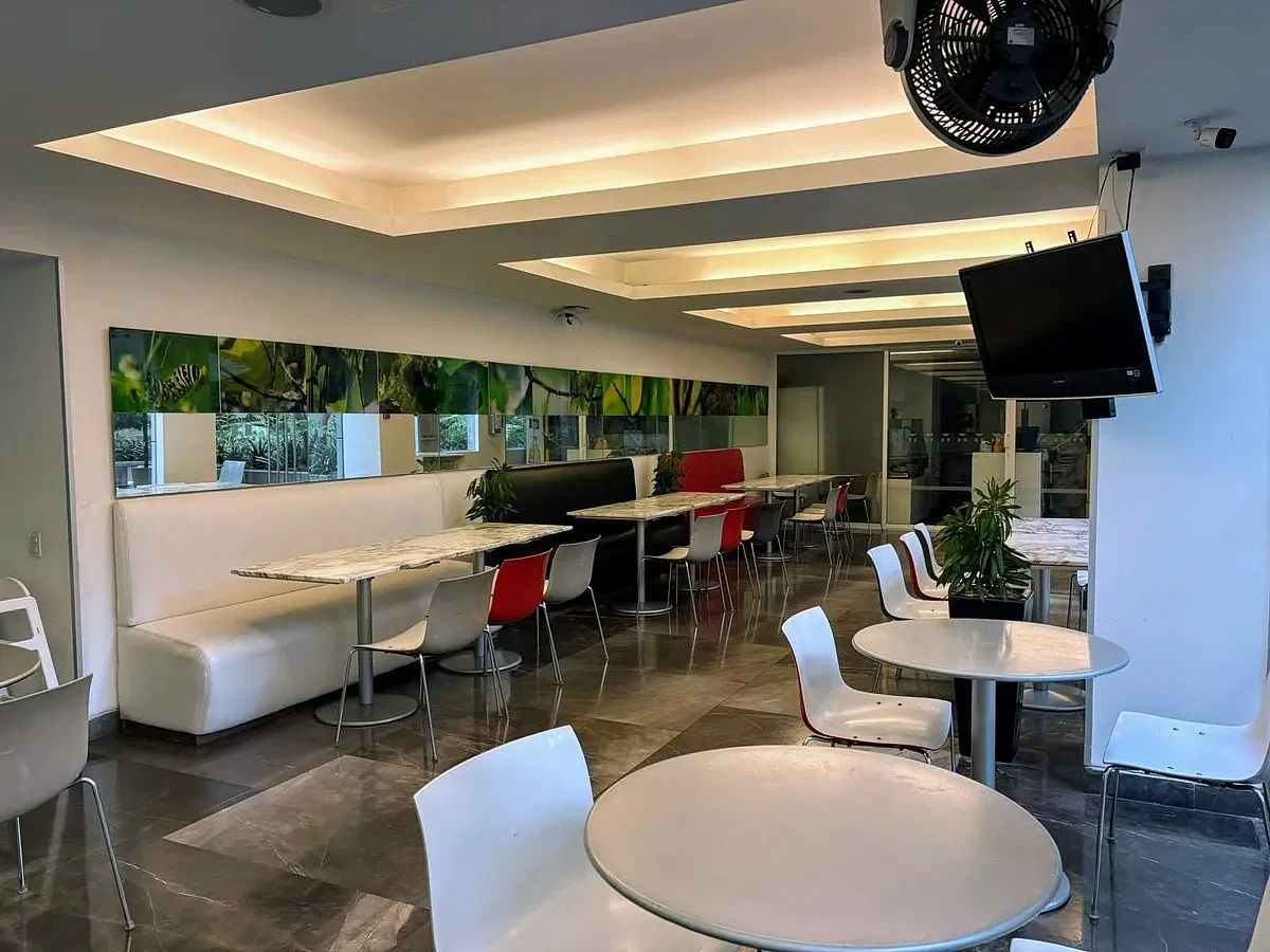 Apartamento em Santa Cruz Atoyac, Benito Juárez, foto 6 de 21