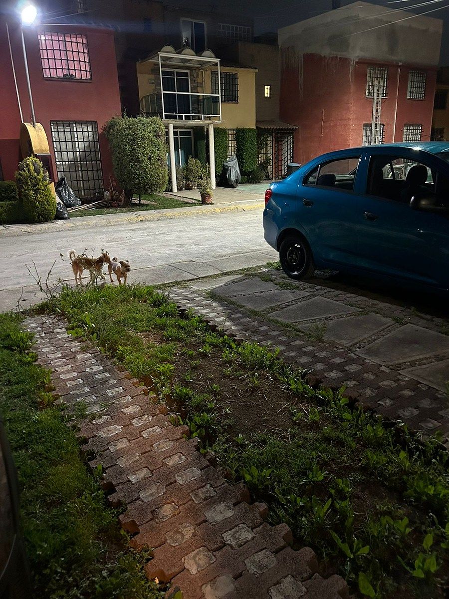 Casa em condomínio fechado em Los Portales, Tultitlán, foto 12 de 13
