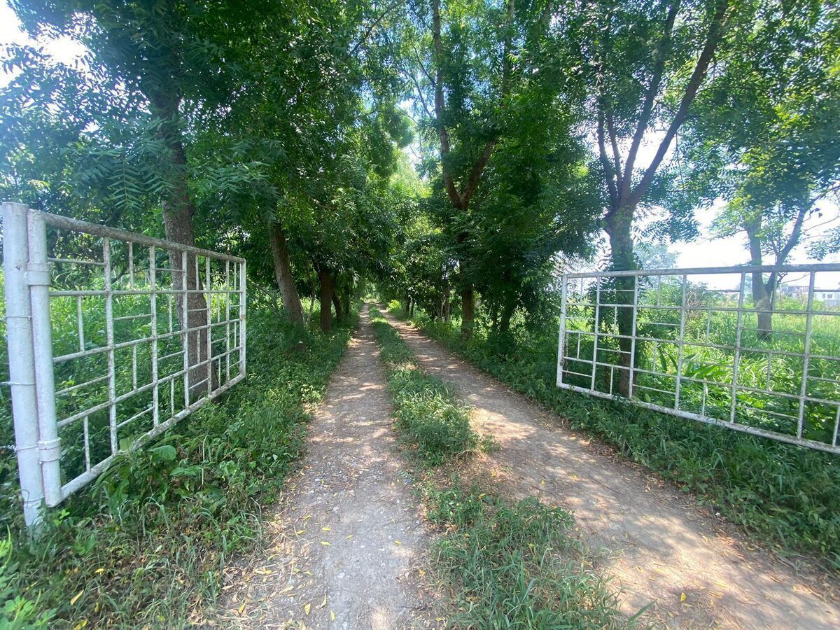 Terreno en venta en Plutarco Elías Calles, Cura Hueso, foto 1 de 7