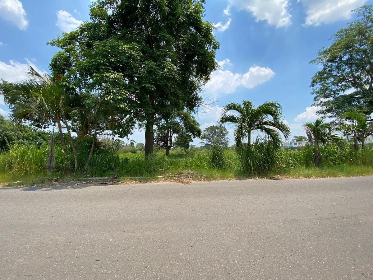 Terreno en Plutarco Elias Calles Cura Hueso, Centro, foto 4 de 7