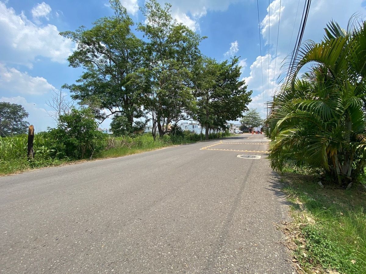 Terreno en Plutarco Elias Calles Cura Hueso, Centro, foto 6 de 7