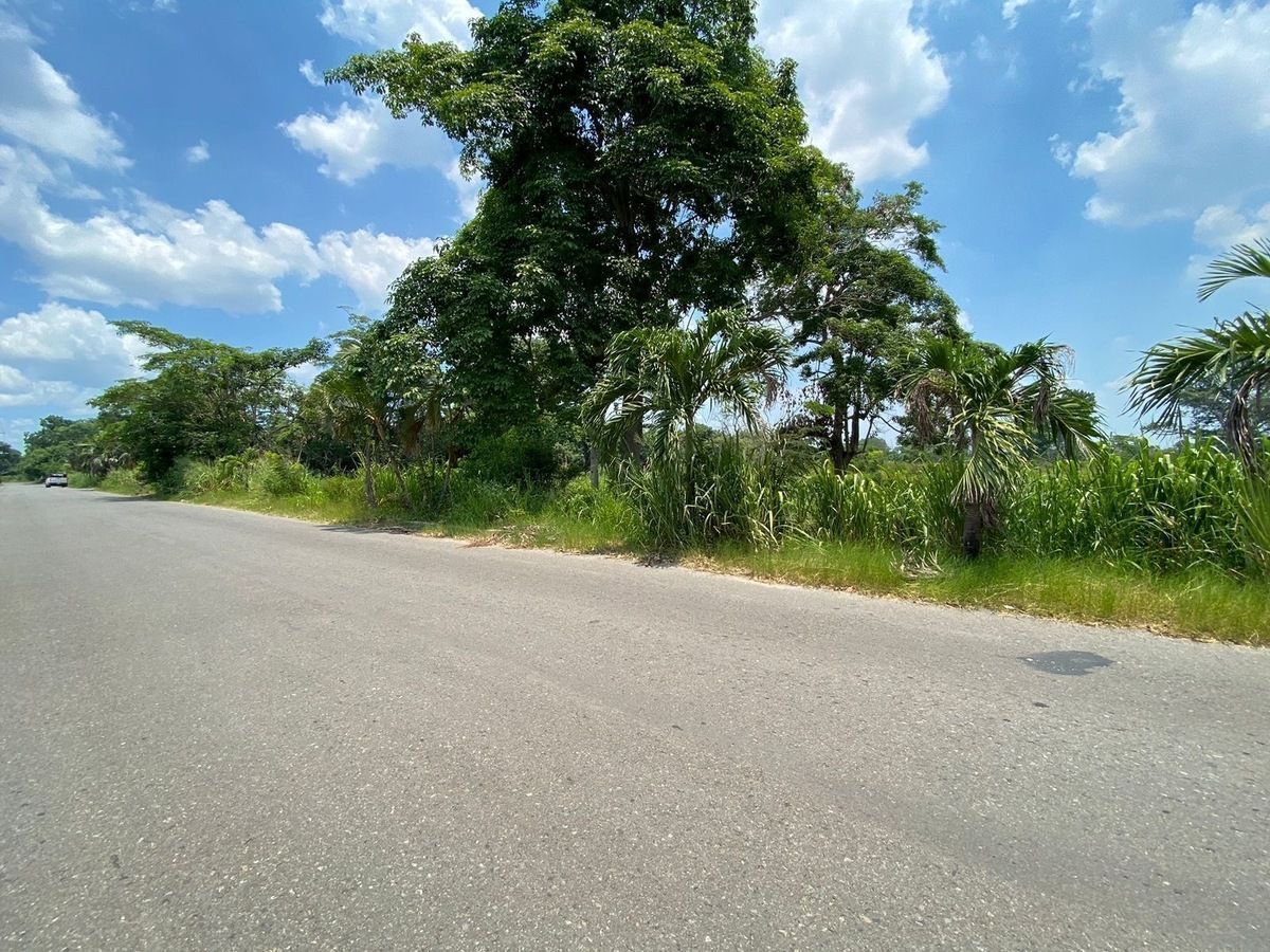 Terreno en Plutarco Elias Calles Cura Hueso, Centro, foto 7 de 7