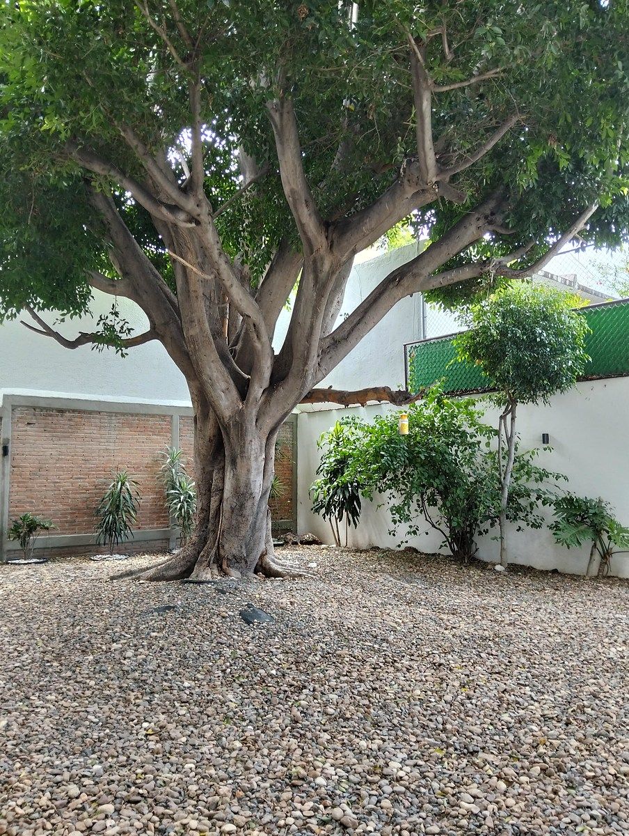 House in Álamos 3a Sección, Querétaro, photo 16 of 44