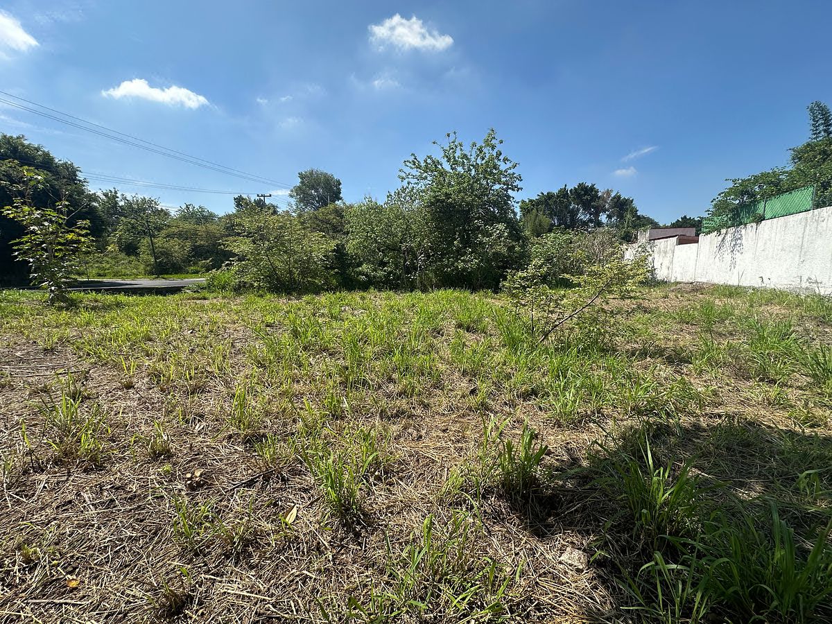 Lot in Lomas de Cocoyoc, Atlatlahucan, photo 27 of 37