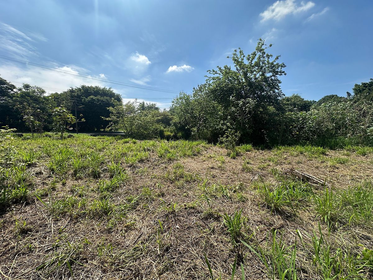 Lot in Lomas de Cocoyoc, Atlatlahucan, photo 31 of 37