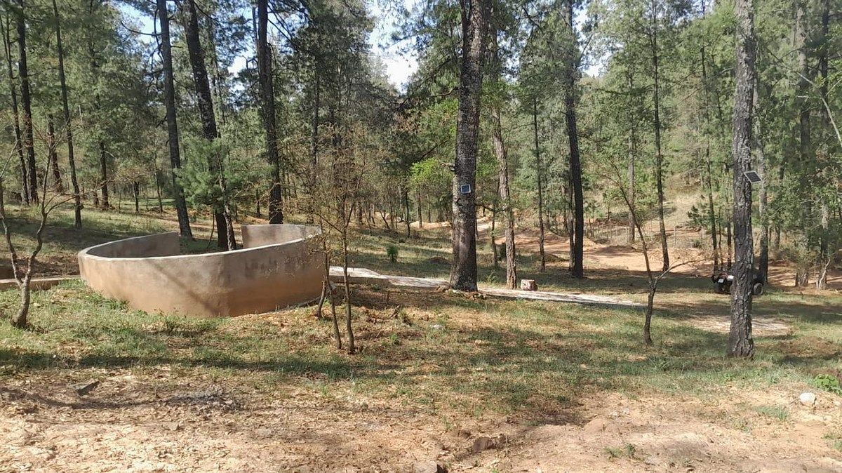 Casa en Juanacatlan, Tapalpa, foto 7 de 15