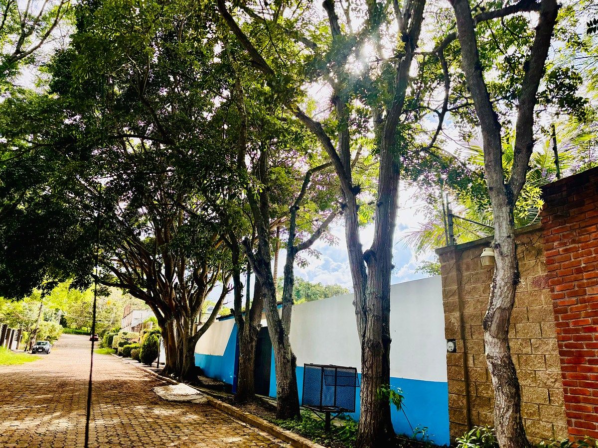 Casa em Fraccionamiento Don Ventura, San Fernando, foto 13 de 34