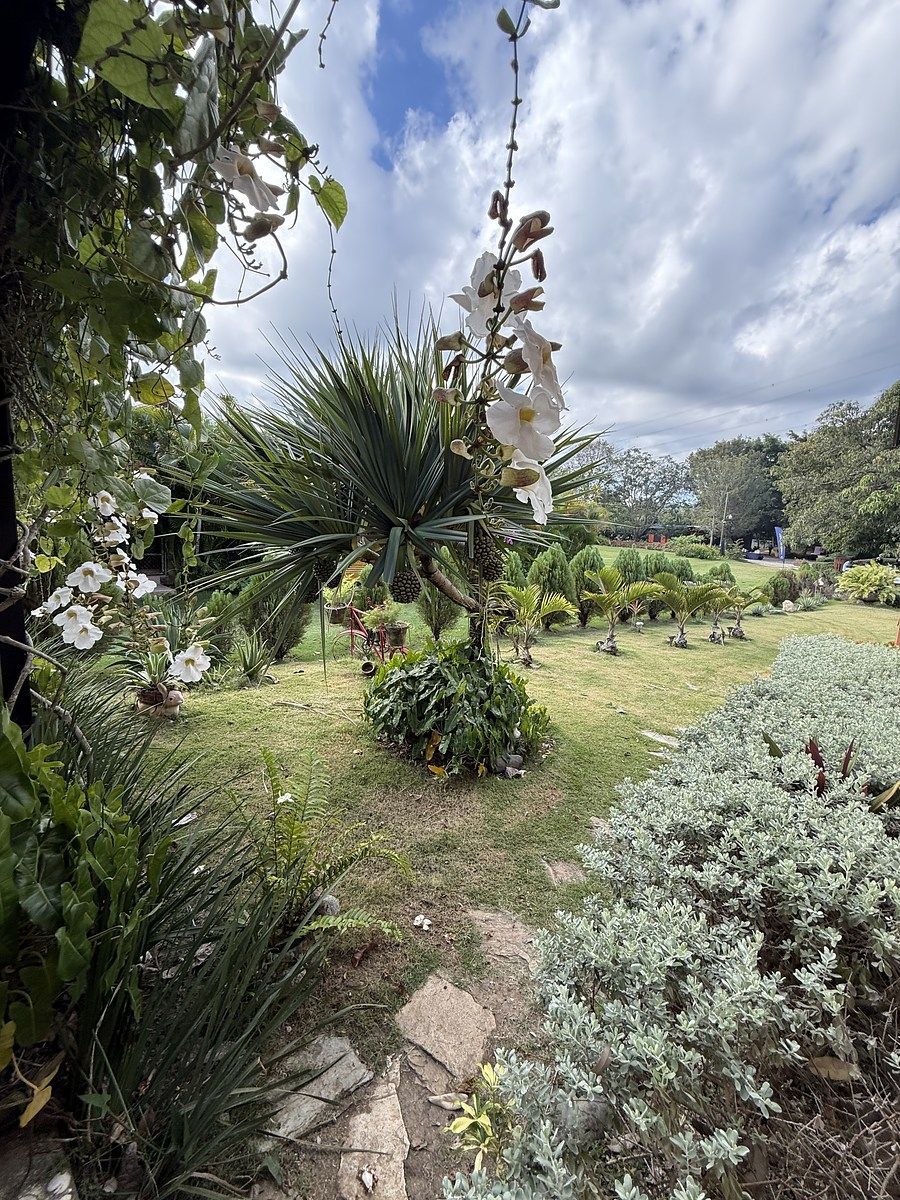 Preciosa finca vacacional y de recreo en venta. A solo 45 minutos de la ciudad. - Foto 5