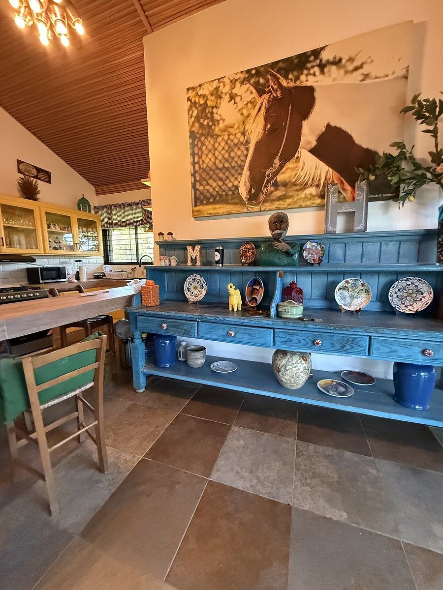 Preciosa finca vacacional y de recreo en venta. A solo 45 minutos de la ciudad. - Foto 9
