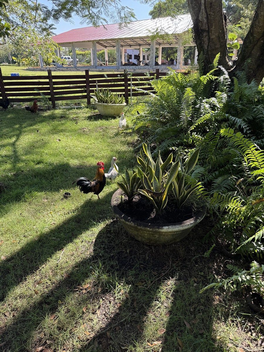 Preciosa finca vacacional y de recreo en venta. A solo 45 minutos de la ciudad. - Foto 18