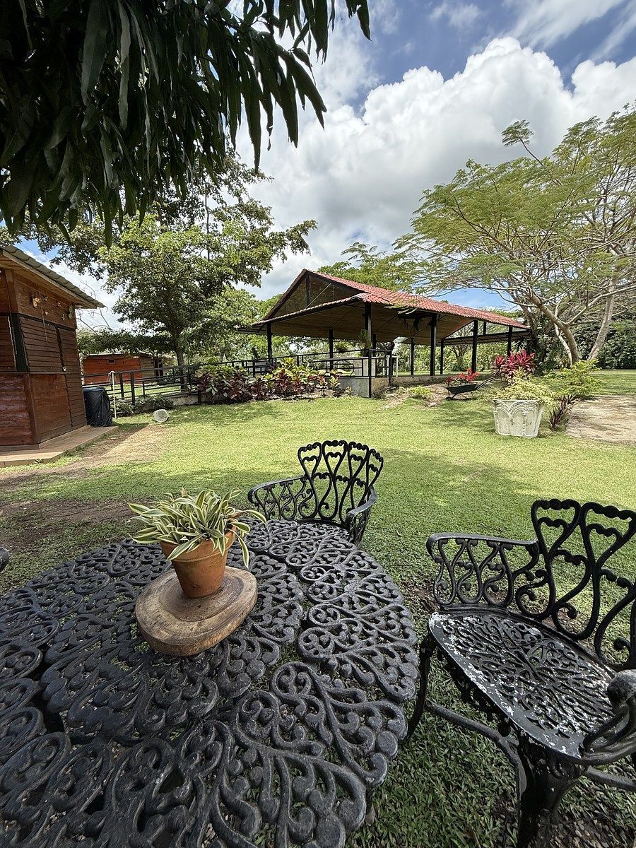 Preciosa finca vacacional y de recreo en venta. A solo 45 minutos de la ciudad. - Foto 10